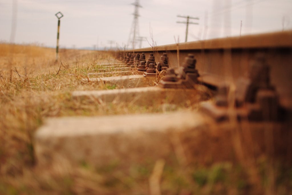 sintomatología del miedo  los ruidos
